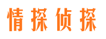 扶余市场调查